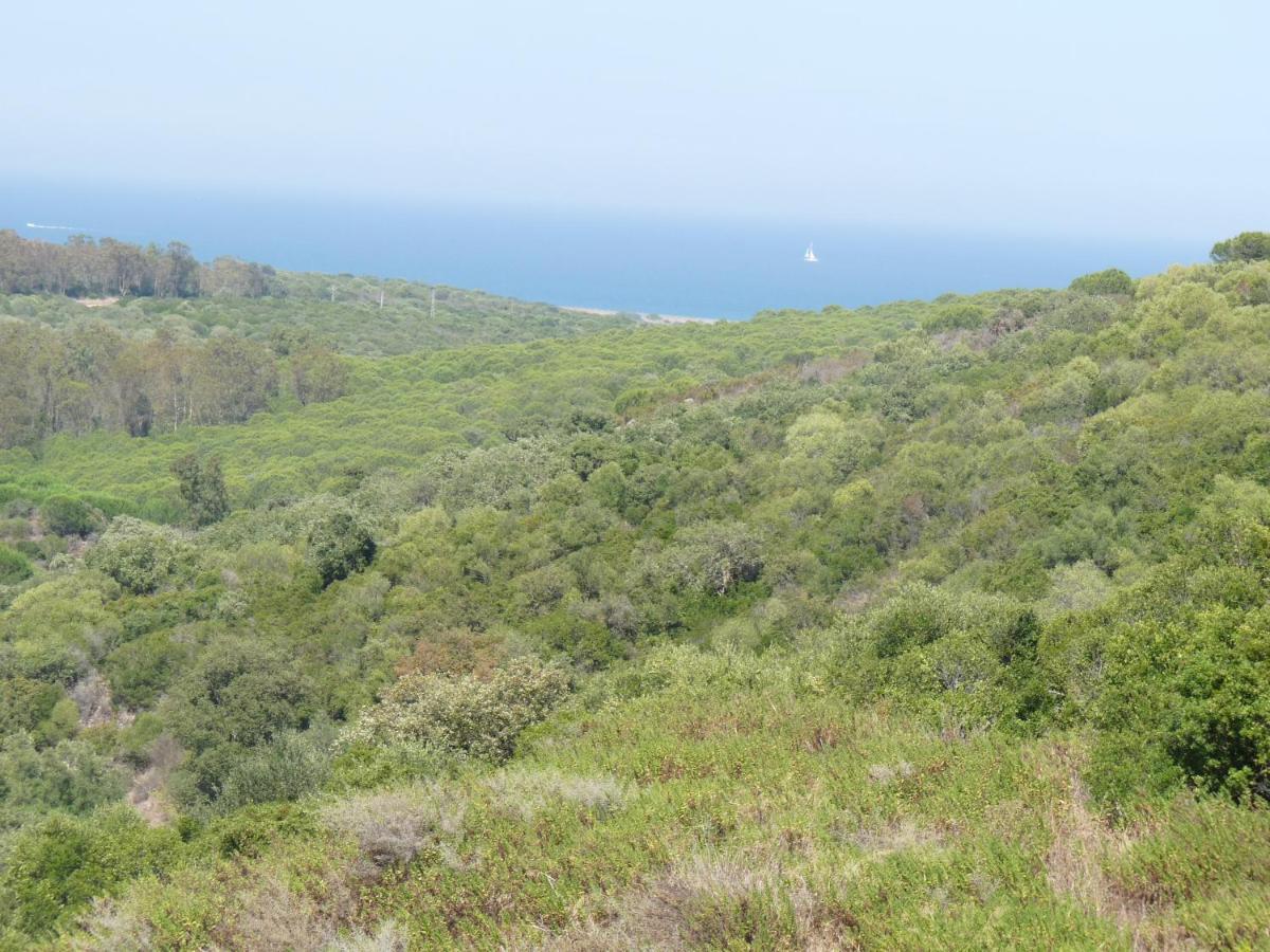 Terrazas De Alcaidesa 2361 Daire Dış mekan fotoğraf